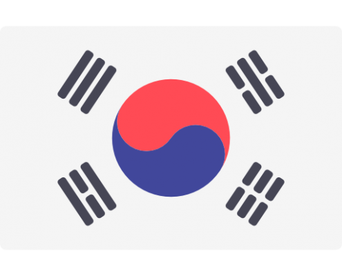 韩国驾照DB真人旗舰