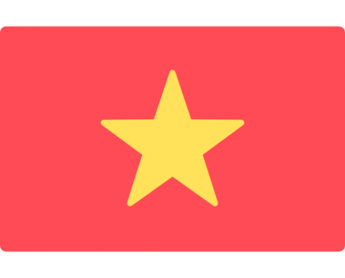 越南语驾照DB真人旗舰