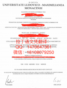慕尼黑大学拉丁语文凭DB真人旗舰