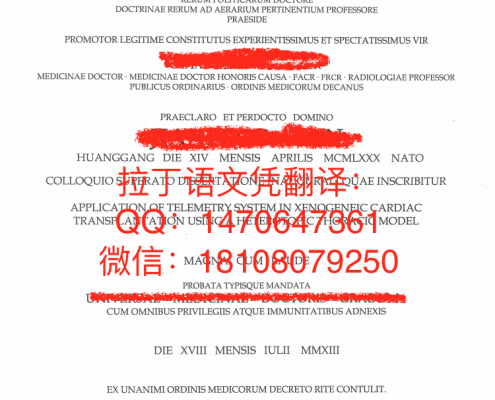 慕尼黑大学拉丁语文凭DB真人旗舰