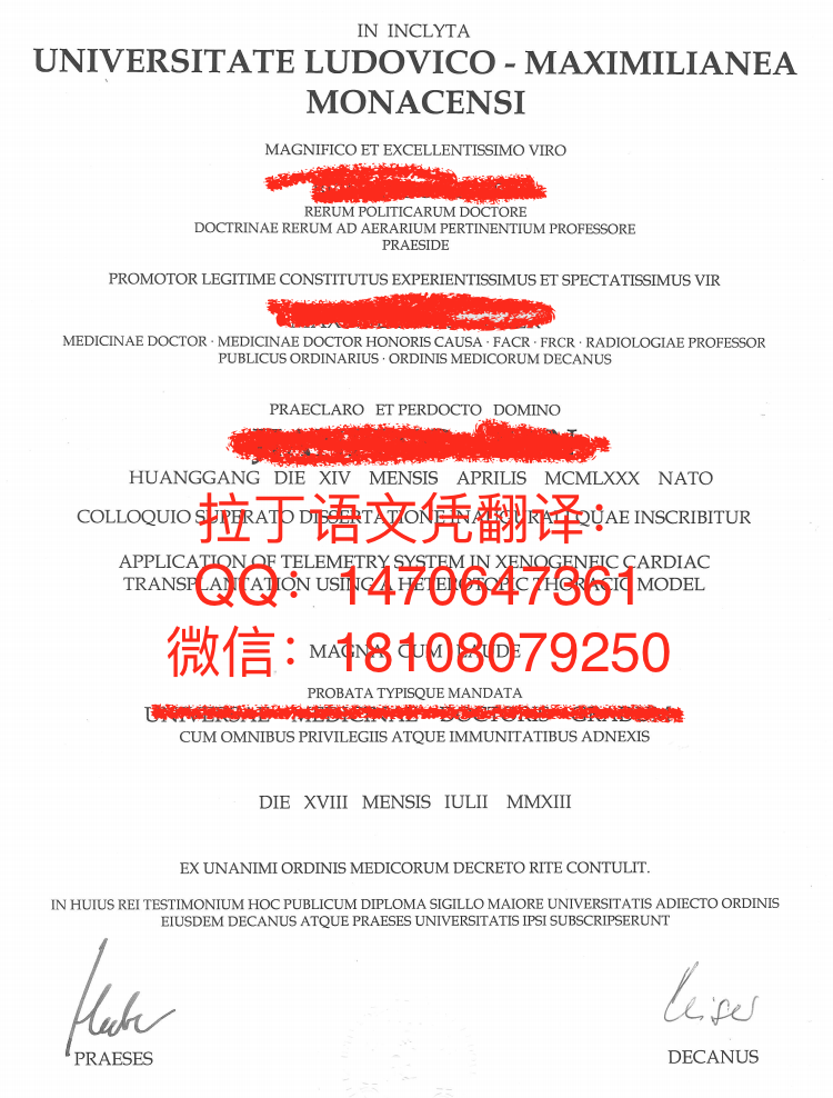 慕尼黑大学拉丁语文凭DB真人旗舰