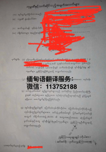 缅甸营业执照DB真人旗舰