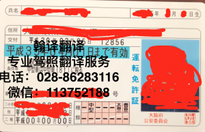 日本驾照DB真人旗舰