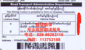 缅甸驾照DB真人旗舰