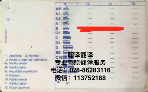 西班牙驾照DB真人旗舰